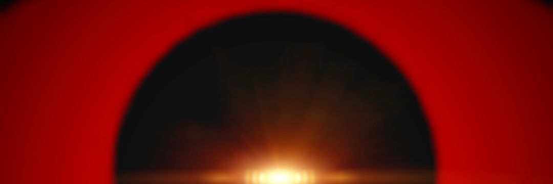 CryptoSpunny's profile banner image