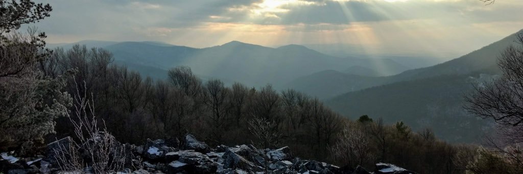 lauracyw2's profile banner image