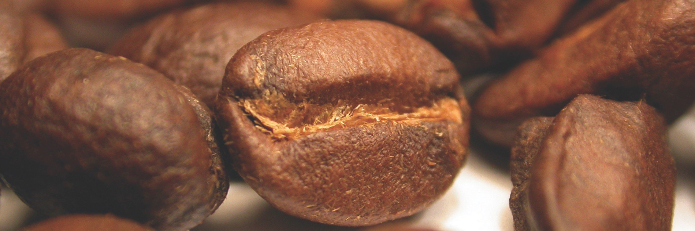 KindCoffeeEstes's profile banner image