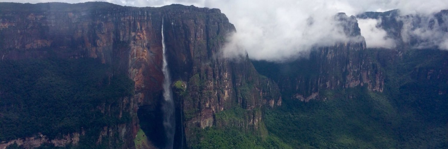 VENEZUELA LIBRE banner