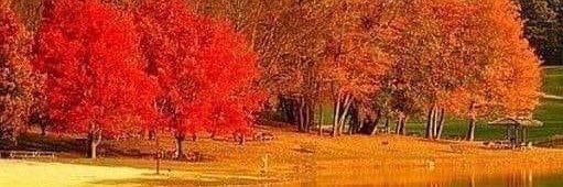 MikeJGallagher1's profile banner image