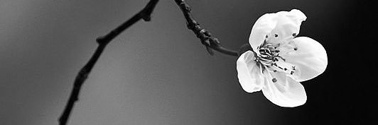 bsimone8's profile banner image
