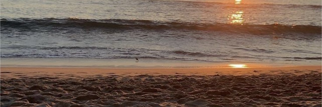 Lou 🦦 banner