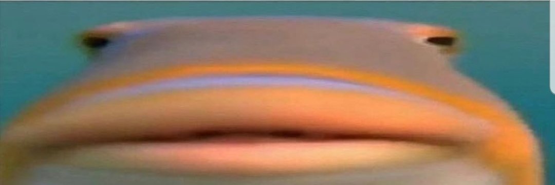 JustD0S's profile banner image