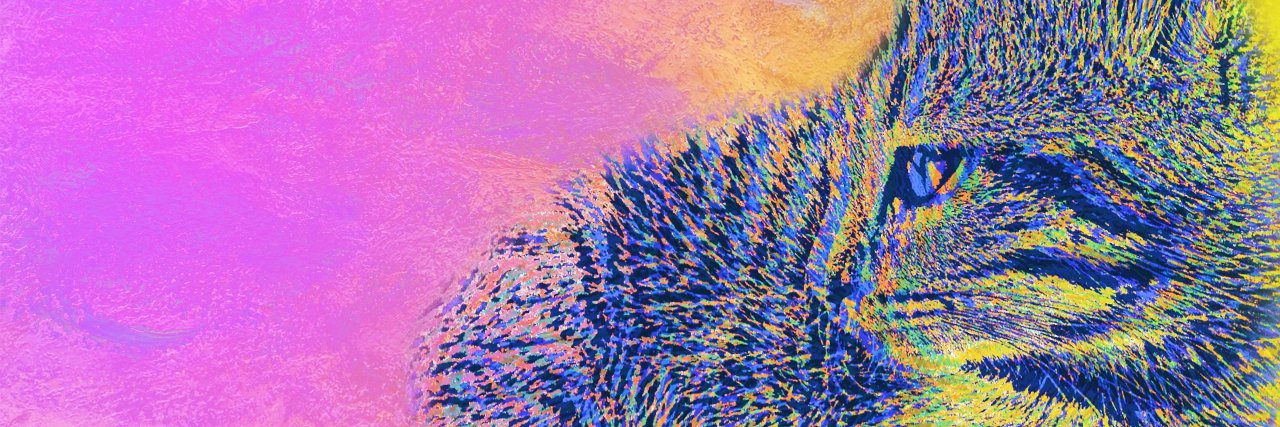 Zebrasmoothie banner