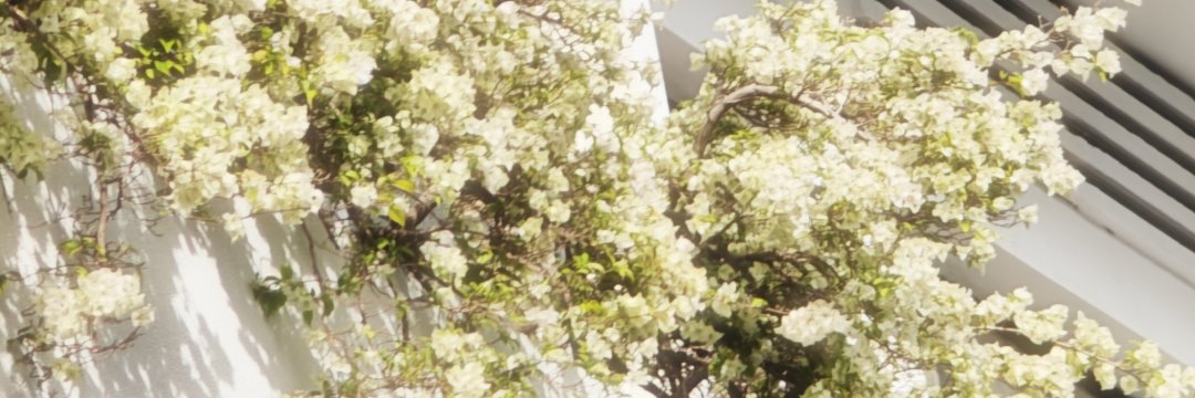 jhfejk's profile banner image