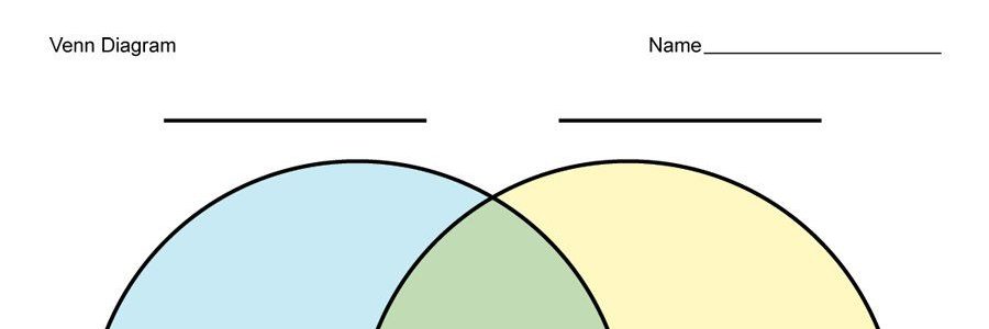 Max Shore banner