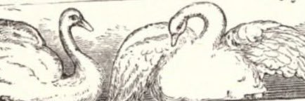 cjpend's profile banner image