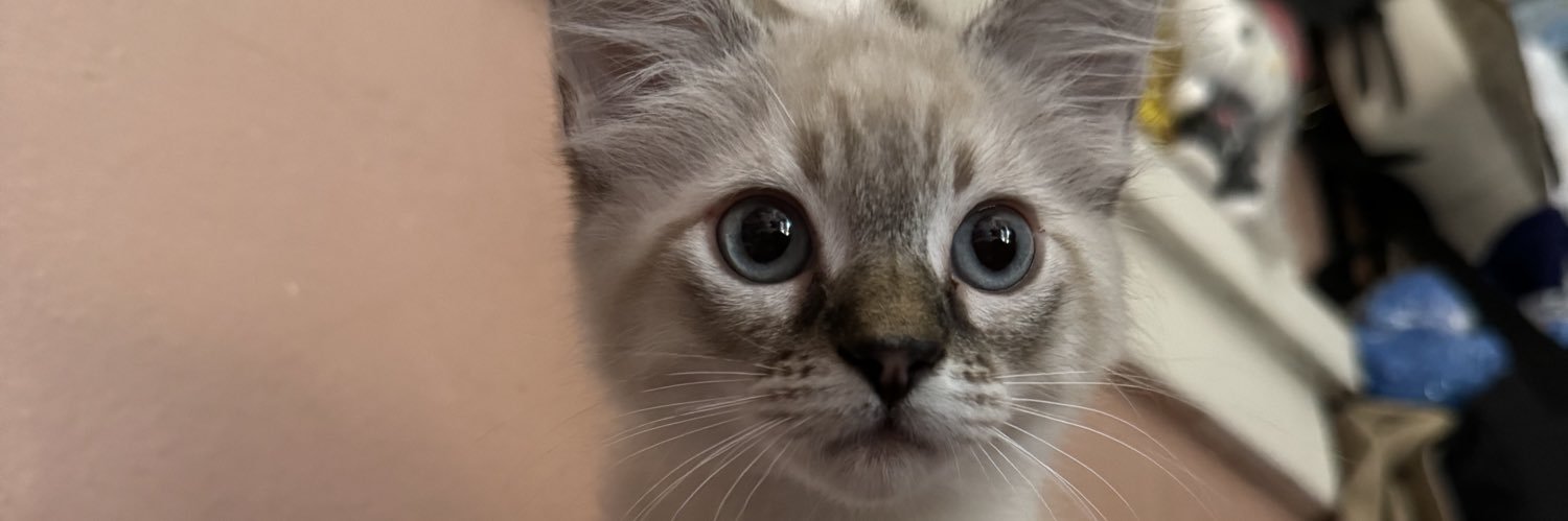 PimpMommaDest's profile banner image