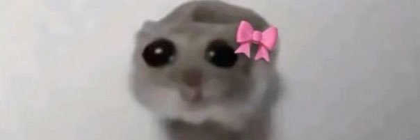 told_themoon's profile banner image