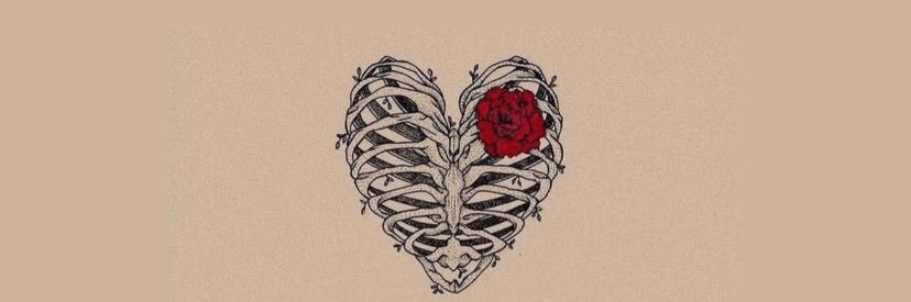 Esma_Cilingir's profile banner image