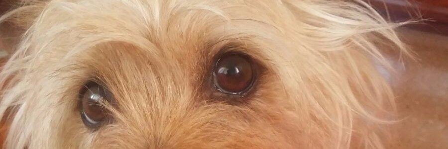 IsaMarch7's profile banner image