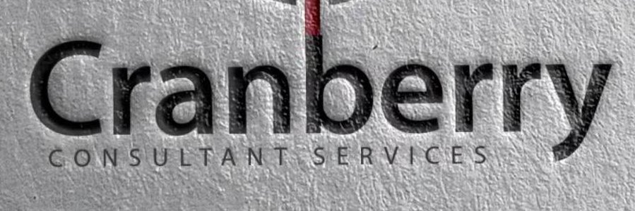 MoFe Not Damijo 🍁 banner