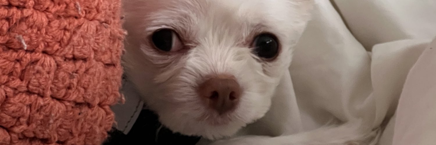 andreasellama's profile banner image