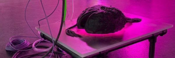 Will_Kendrick Profile Banner