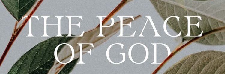 SELAH banner