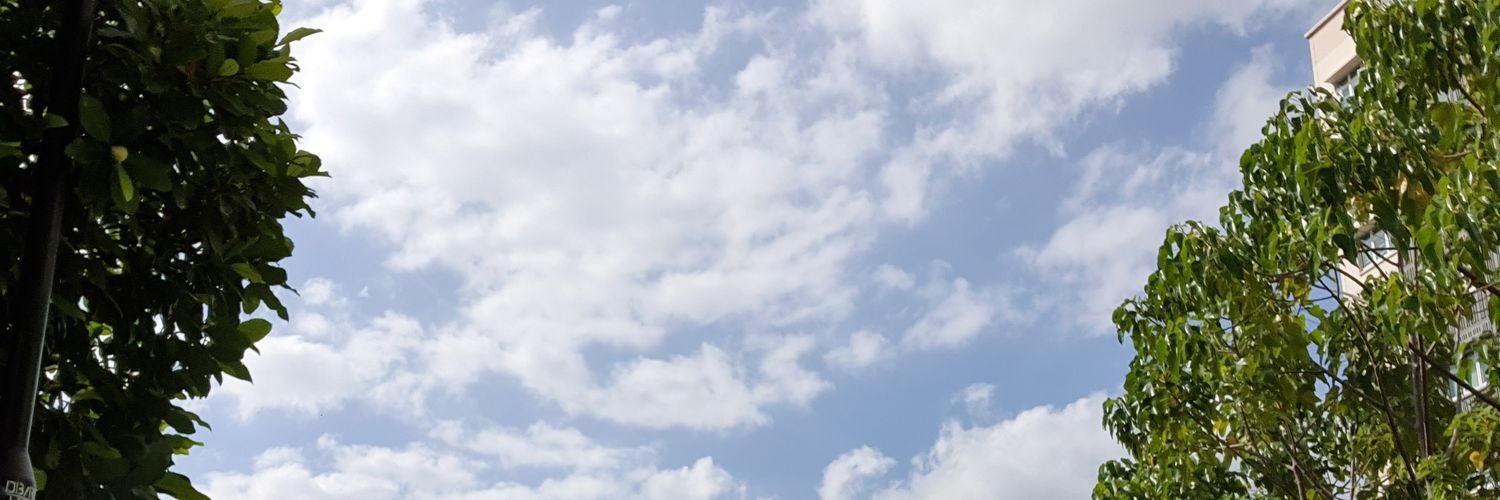 rinebabe's profile banner image