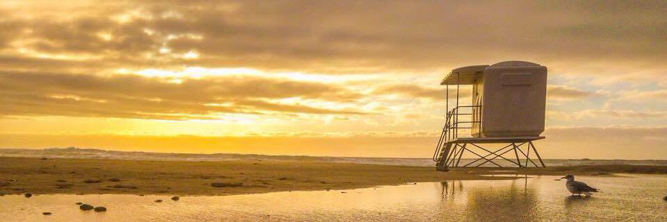 Dean Biddulph banner