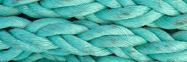 my_lapointe Profile Banner