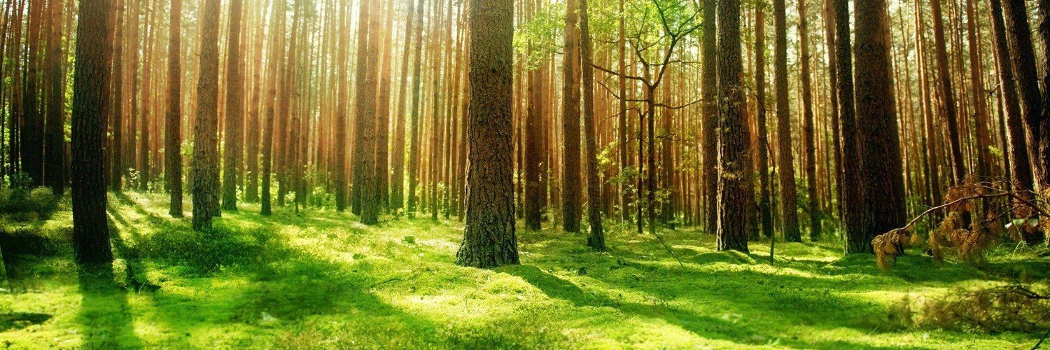 HyyrylainenP's profile banner image