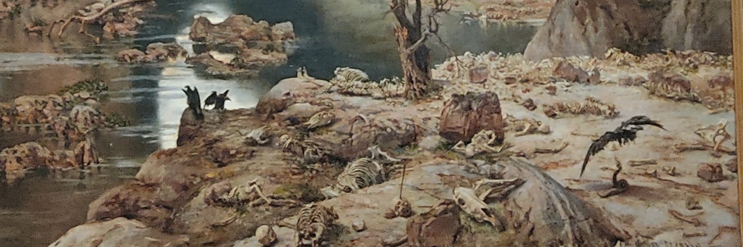 claratomasm's profile banner image