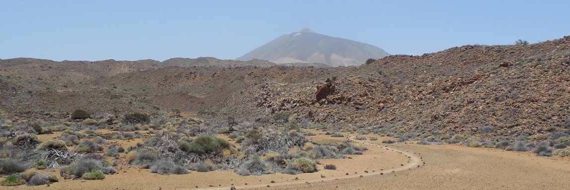 ZAMBIASI Isabelle PRO banner