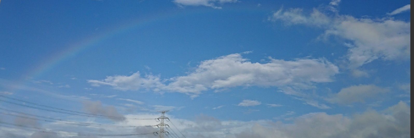 みみ banner