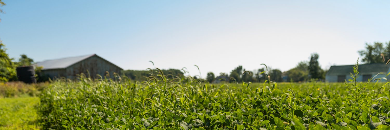 Financière agricole banner