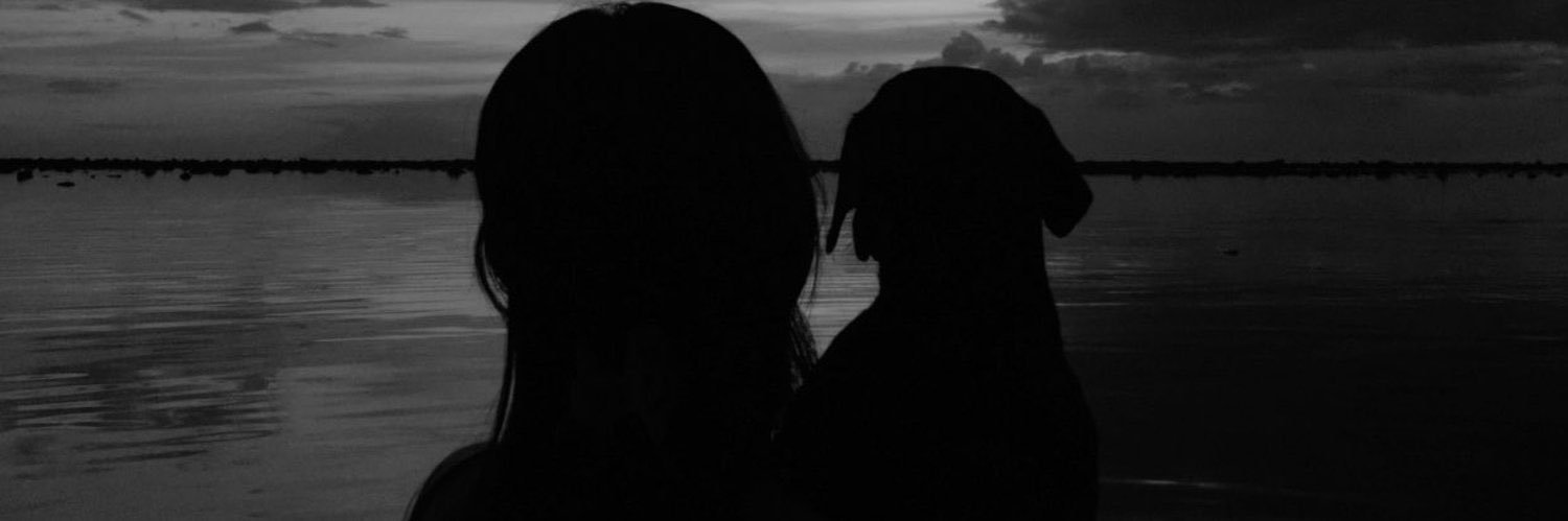 zmaeb_'s profile banner image