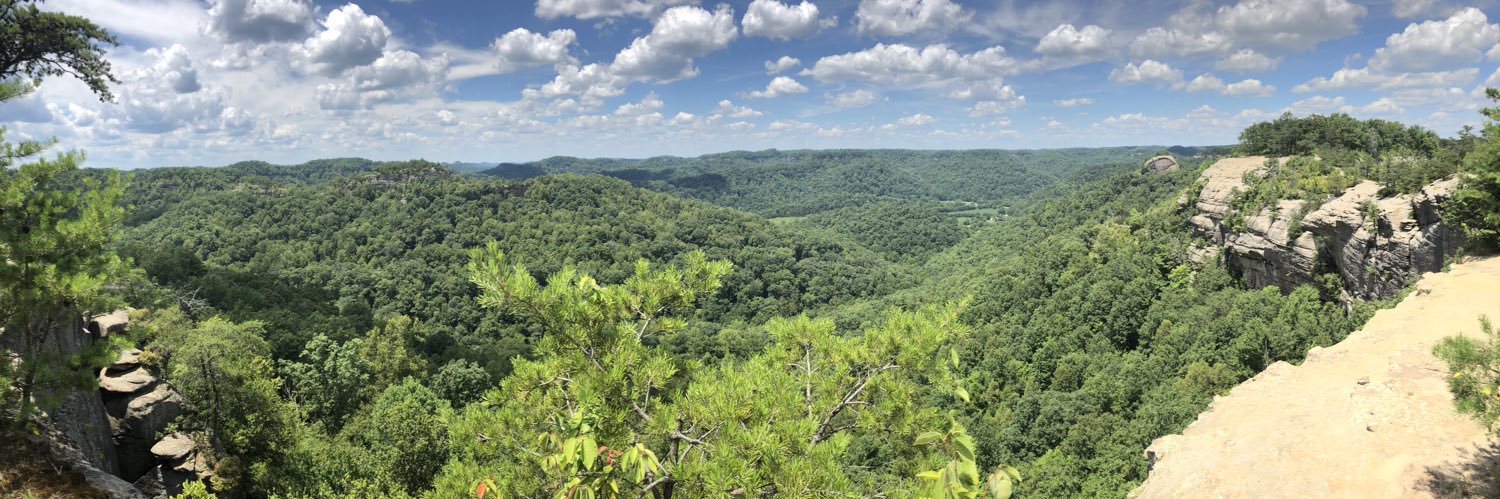 mcconnell21❤️ Memecoin banner