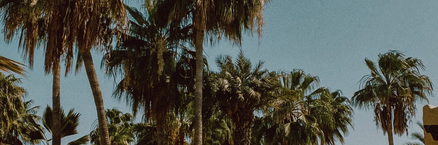 ZynDM's profile banner image