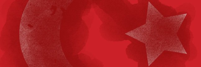 Maria Pericot banner