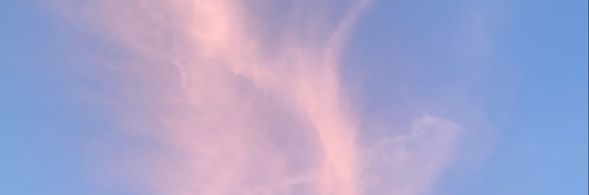 Sashadose's profile banner image