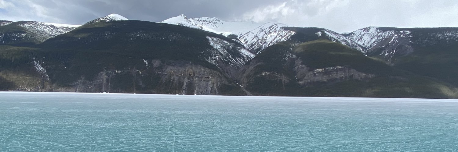 RoyRiner1's profile banner image
