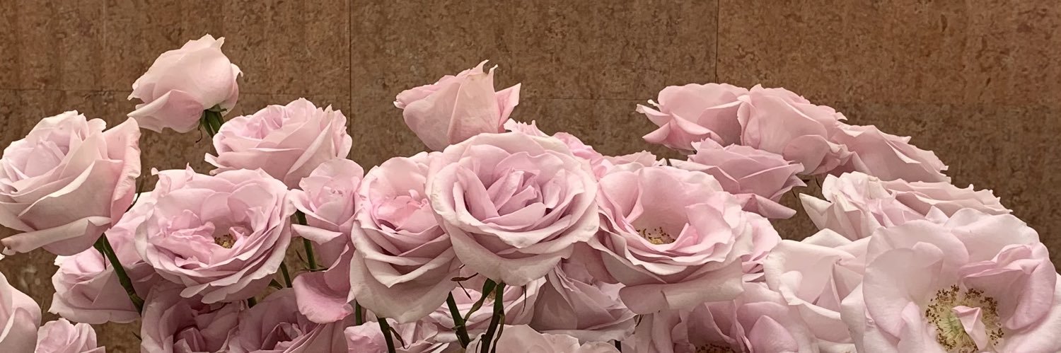 scapulanne's profile banner image