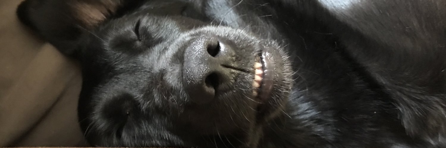 mymyosc's profile banner image