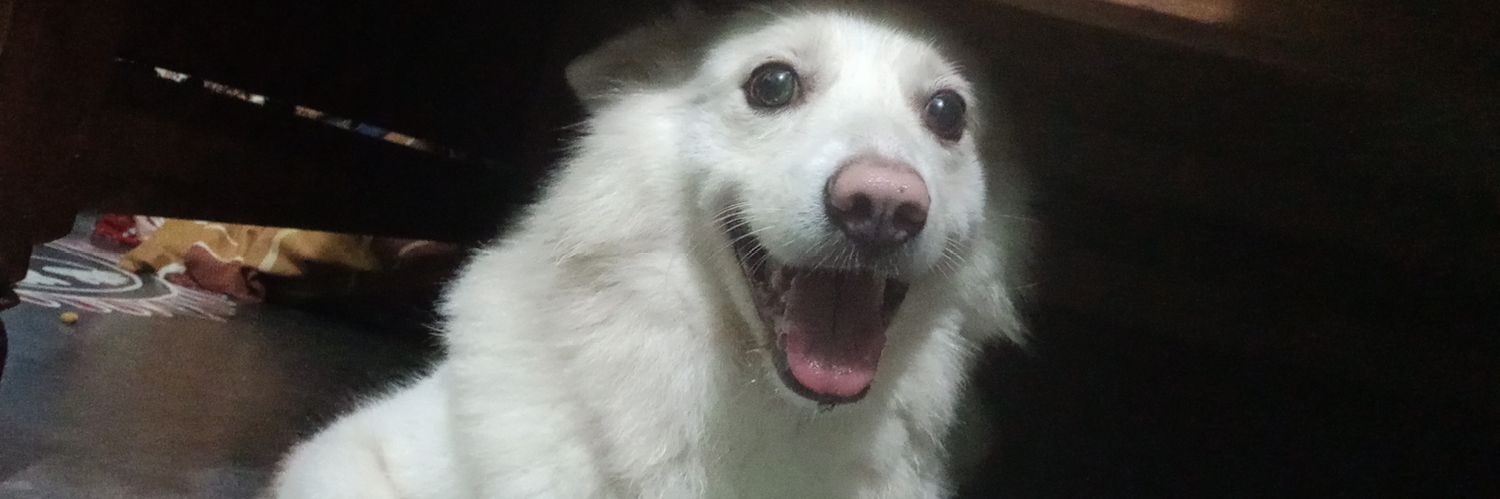 sekharroy101's profile banner image