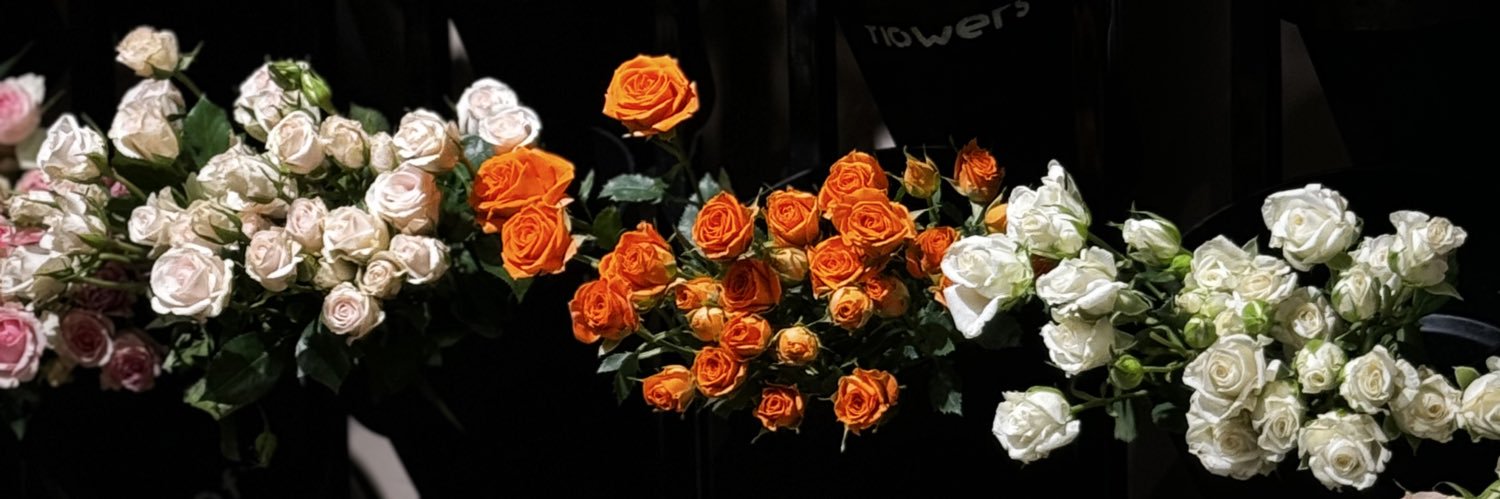ihope_5's profile banner image