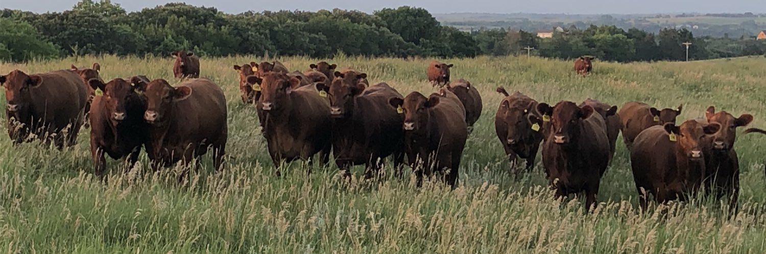 Jon Eberspacher banner