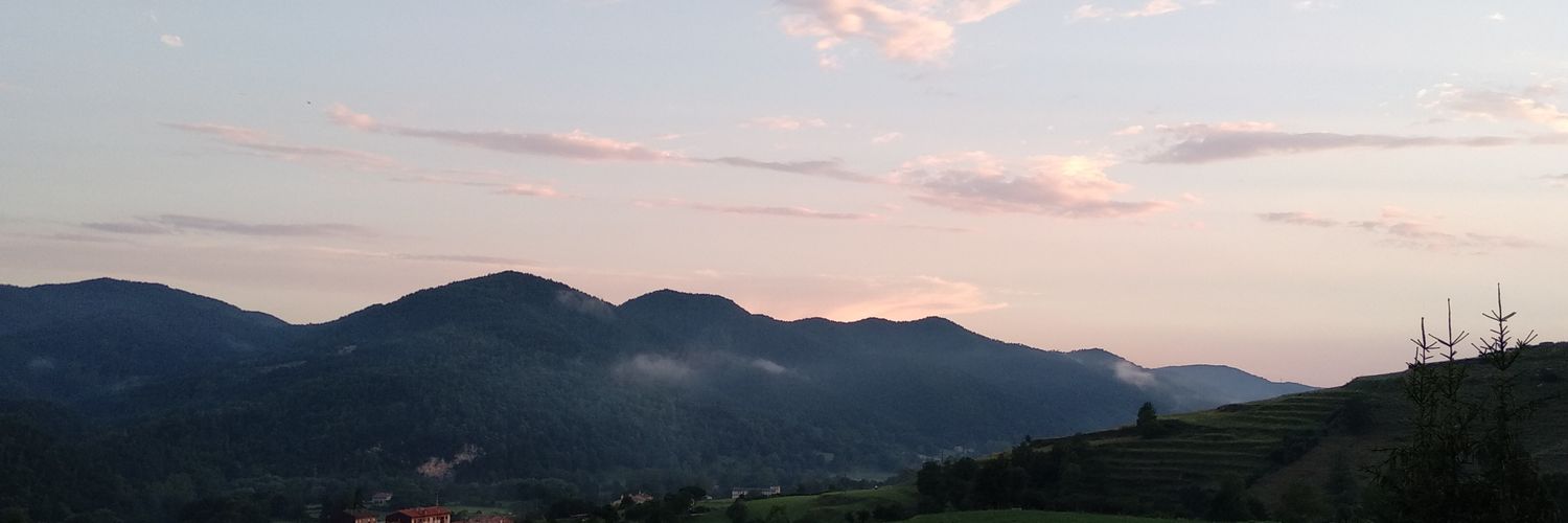 XES Ripollès banner