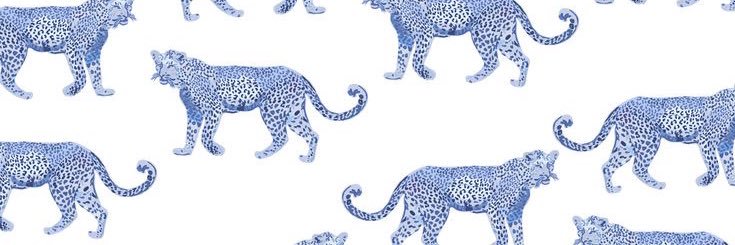BommaritoBailey's profile banner image