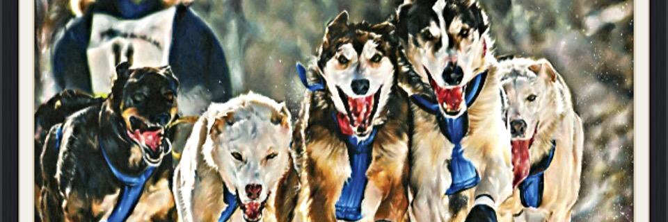 timcortesstudio's profile banner image