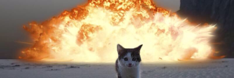 nickoftimelyness banner