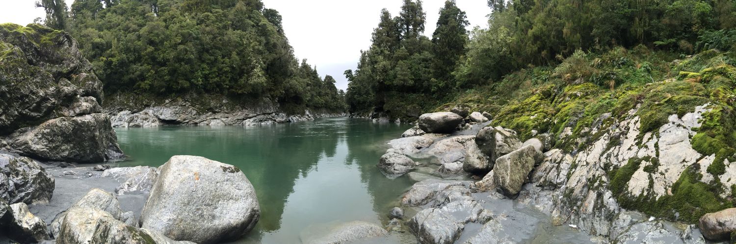 Suzahn Wilson banner