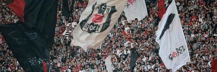 cvdtbl's profile banner image