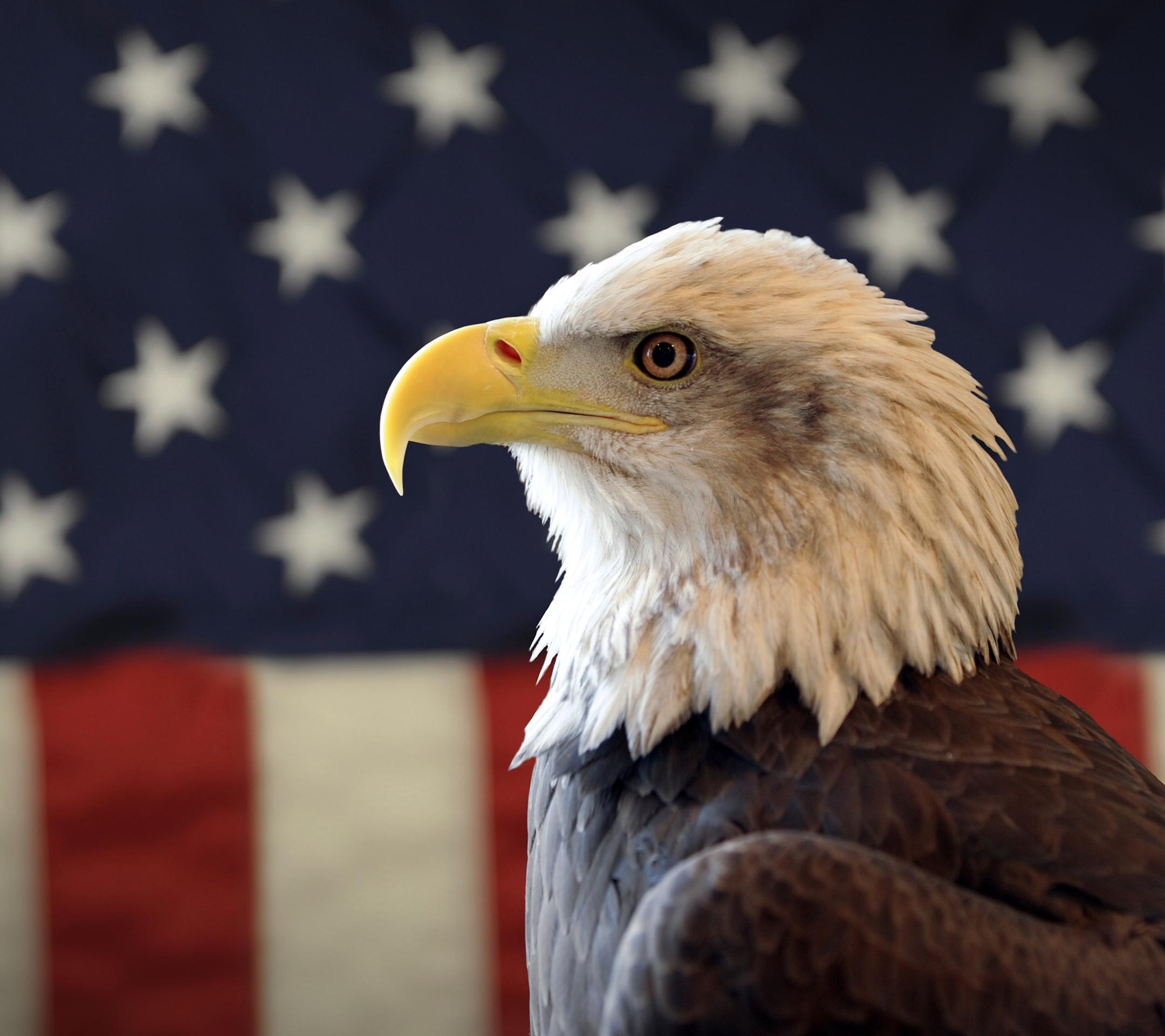 CesarPerezS's profile banner image