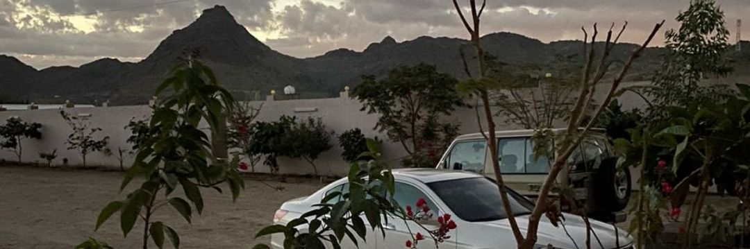 Ben_Sheimi's profile banner image