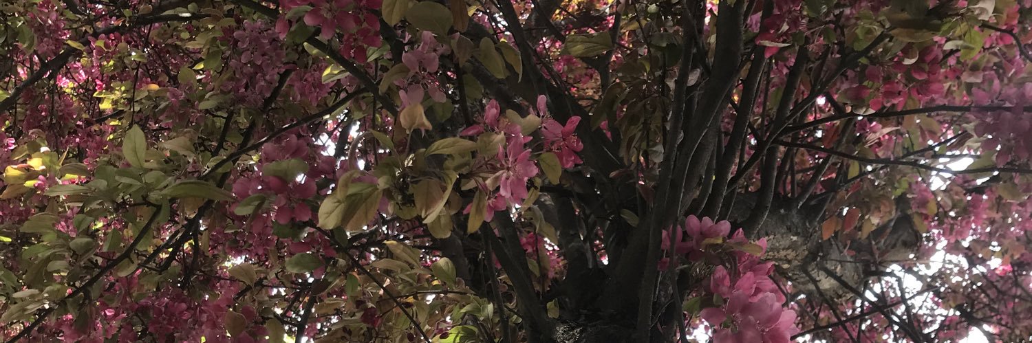 Selçuk Dağdelen banner