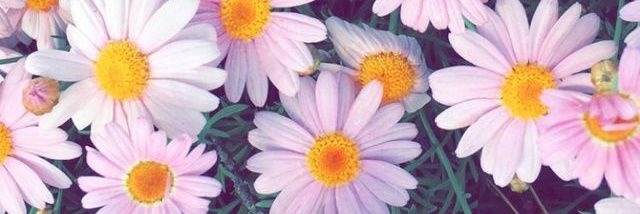 andrea8546's profile banner image