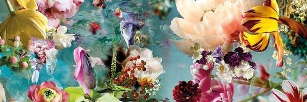 holliebeebuzz's profile banner image